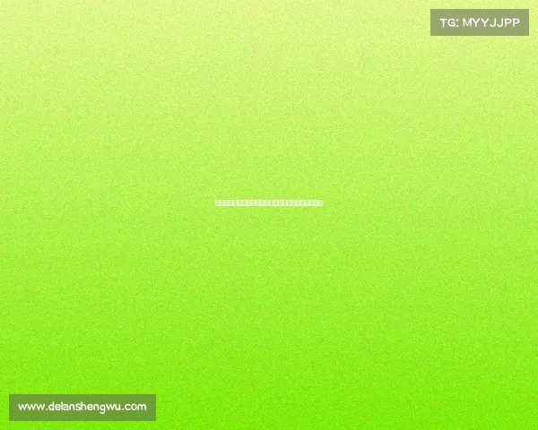 法甲锋线新星崛起引关注多支豪门盯上其未来发展潜力